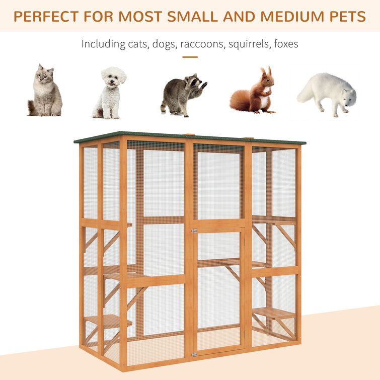 Encanto outdoor best sale enclosure cat cage